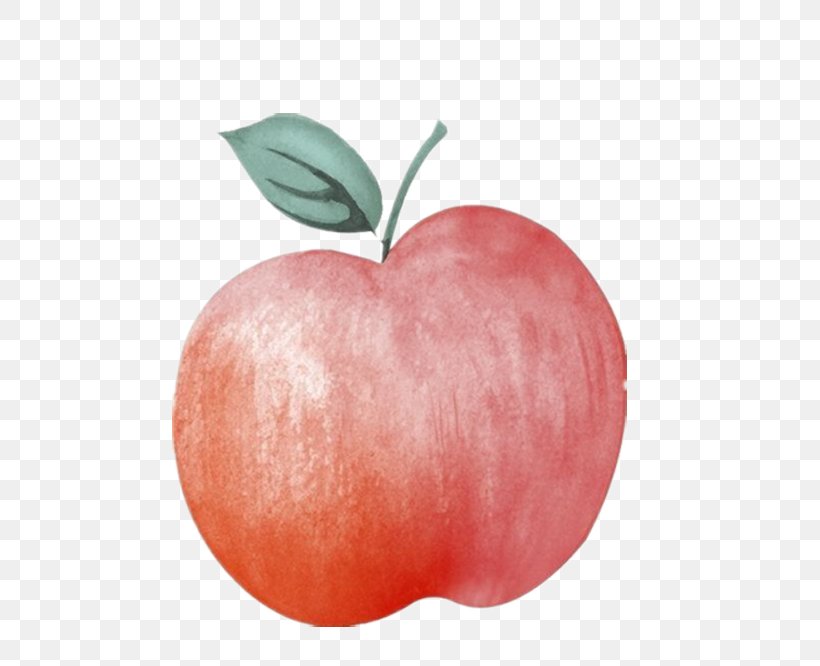 Apple Illustrator Illustration, PNG, 500x666px, Apple, Big Apple, Food, Fruit, Heart Download Free