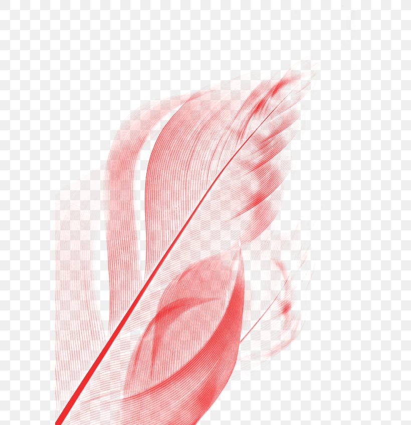 Feather Euclidean Vector Pink Hair, PNG, 600x849px, Feather, Close Up, Down Feather, Gratis, Hair Download Free