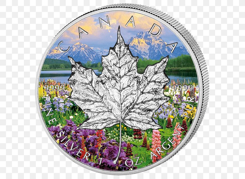 Mount Moran Hamburg Canadian Gold Maple Leaf Canada Season, PNG, 600x600px, 2017, 2018, Mount Moran, Brokerdealer, Canada Download Free