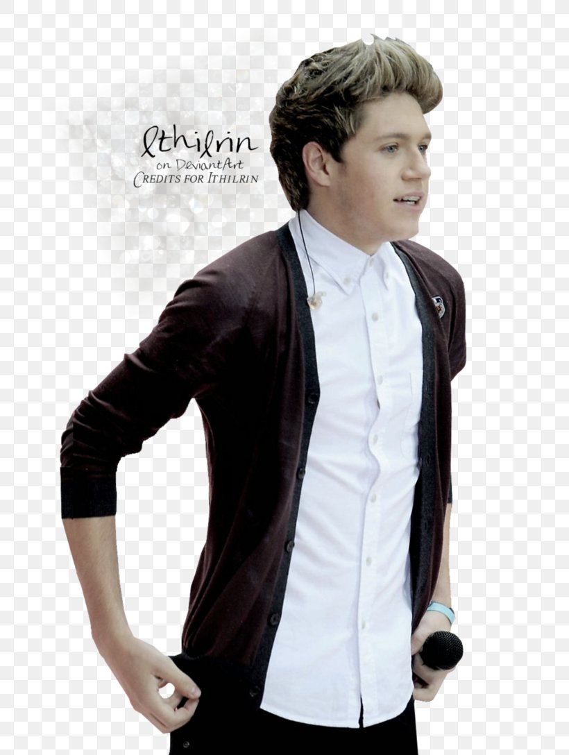 Niall Horan Rendering One Direction Europe, PNG, 735x1088px, Watercolor, Cartoon, Flower, Frame, Heart Download Free