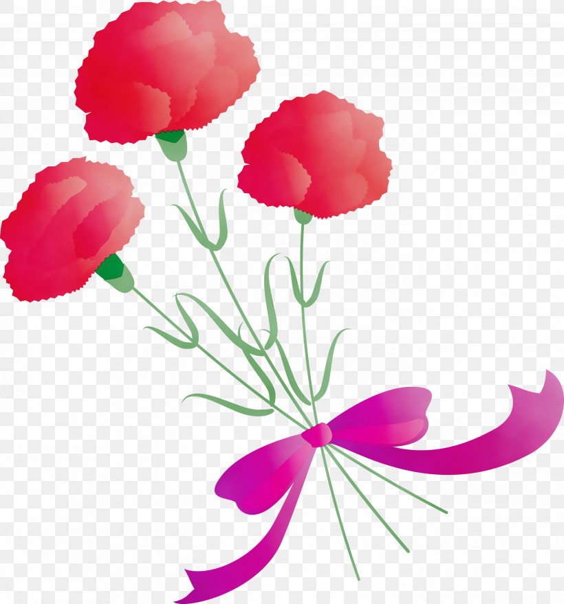 Pink Flower Petal Plant Cut Flowers, PNG, 2798x3000px, Mothers Day Carnation, Cut Flowers, Dianthus, Flower, Magenta Download Free