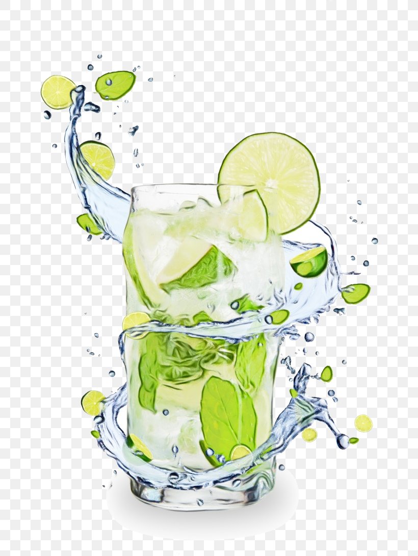Water Drink Cocktail Garnish Lime Highball Glass, PNG, 732x1091px, Watercolor, Alcoholic Beverage, Cocktail, Cocktail Garnish, Drink Download Free