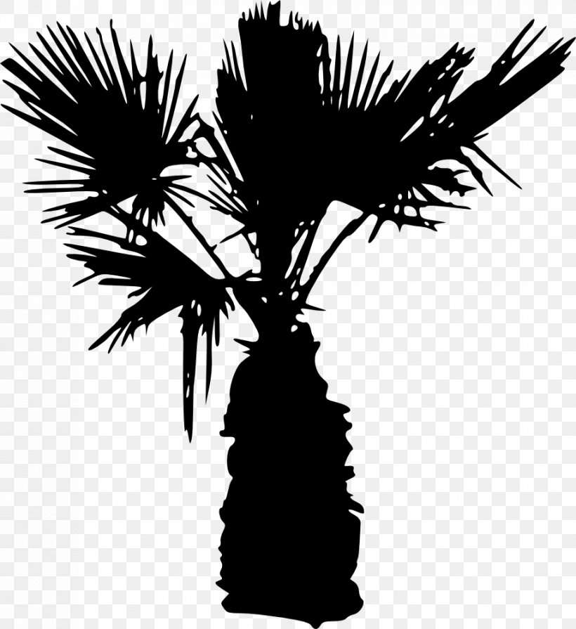 Arecaceae Tree Silhouette, PNG, 916x1000px, Arecaceae, Arecales, Black And White, Borassus Flabellifer, Branch Download Free