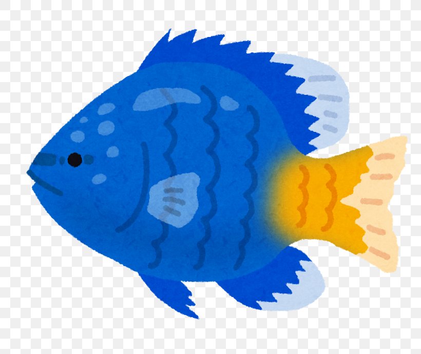 Chromis Notata いらすとや Fish Clip Art, PNG, 800x690px, Fish, Animal, Biology, Child, Chromis Download Free
