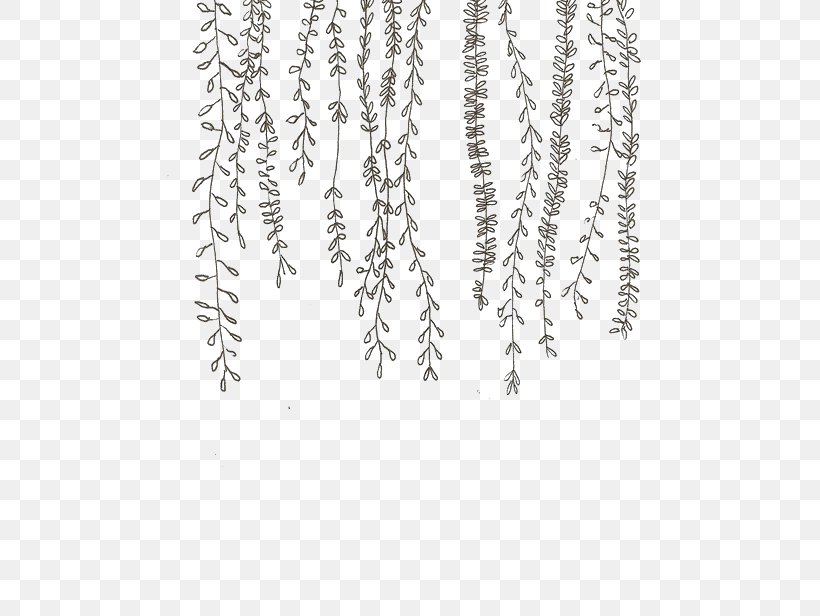 Doodle Drawing Vine Plant Clip Art, PNG, 500x616px, Doodle, Art, Black And White, Branch, Cactaceae Download Free