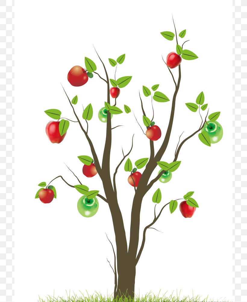 Fruit Tree, PNG, 724x1001px, Tree, Apple, Apples, Berry, Blossom Download Free