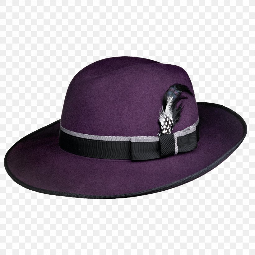 Hat, PNG, 2409x2409px, Hat, Headgear, Purple Download Free