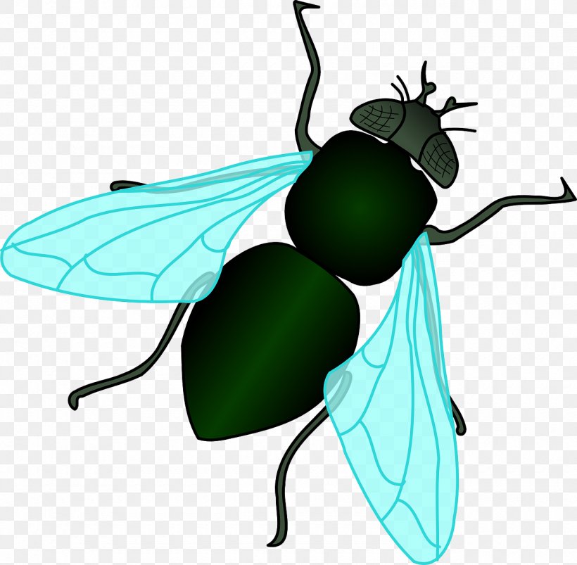 Housefly Insect Clip Art, PNG, 1280x1254px, Fly, Arthropod, Cartoon, Housefly, Insect Download Free