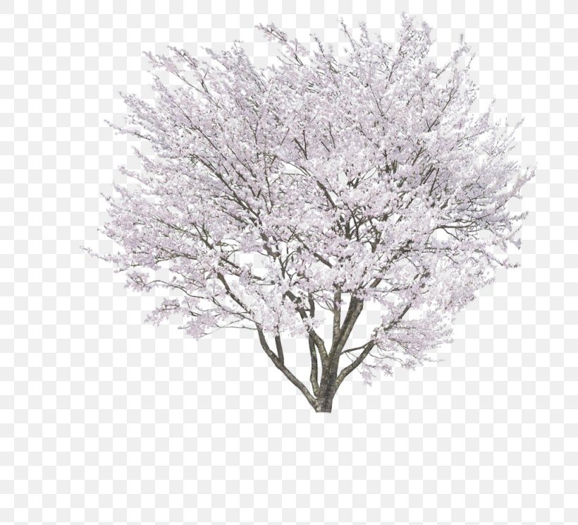 Stock Photography Royalty-free, PNG, 1024x930px, 3d Computer Graphics, Photography, Black And White, Blossom, Branch Download Free