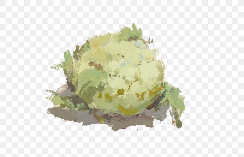 Color Chinese Cabbage Vegetable Gouache Painting, PNG, 670x529px, Color, Auglis, Blue, Chinese Cabbage, Food Download Free