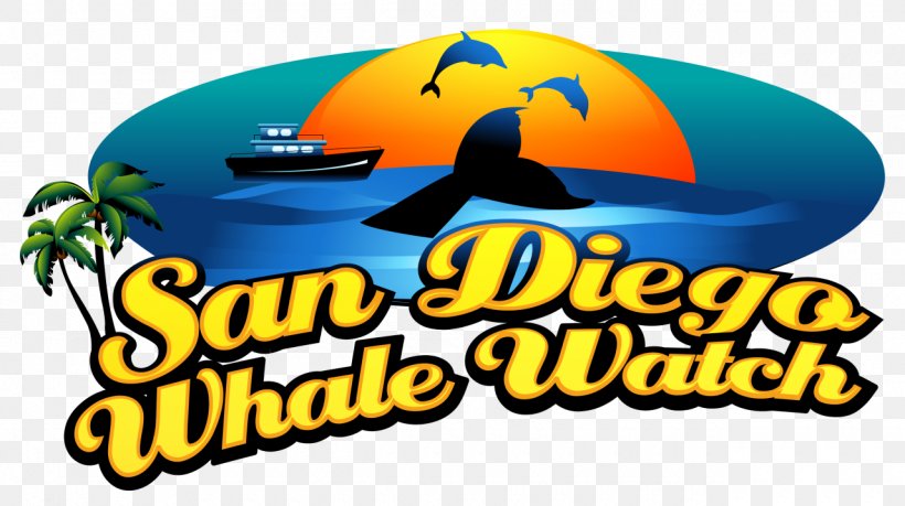 San Diego Whale Watch Whale Watching Cetacea Things To Do In San Diego, PNG, 1280x717px, Whale Watching, Brand, California, Cap, Cetacea Download Free