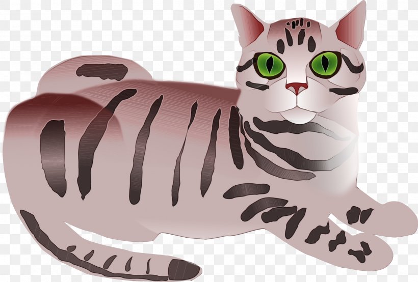 Cat Kitten Whiskers GIF Cuteness, PNG, 2400x1624px, Watercolor, American Bobtail, American Shorthair, American Wirehair, Animal Figure Download Free