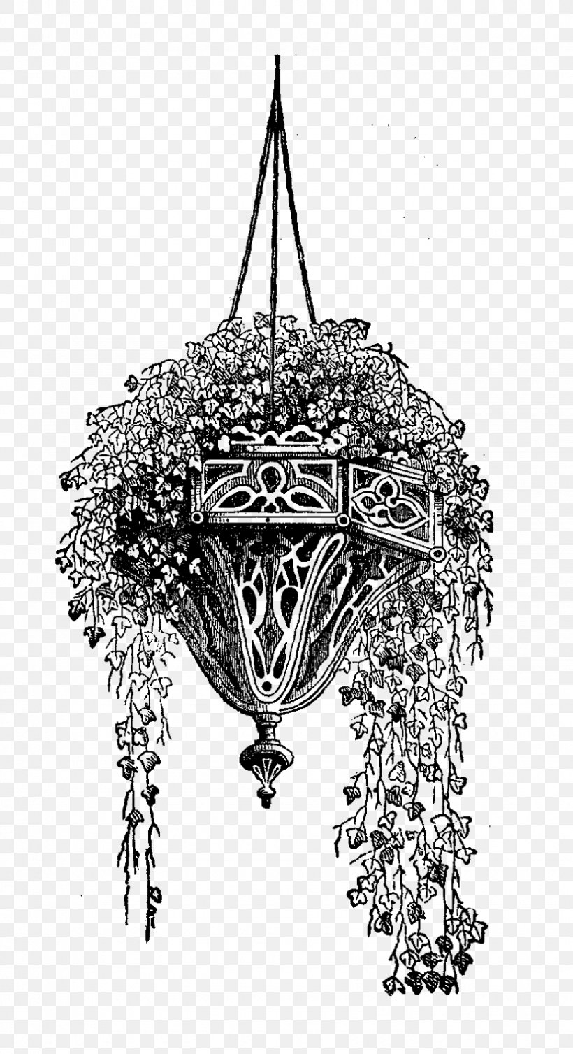 Drawing Hanging Basket Garden, PNG, 870x1600px, Drawing, Black And White, Branch, Garden, Hanging Download Free