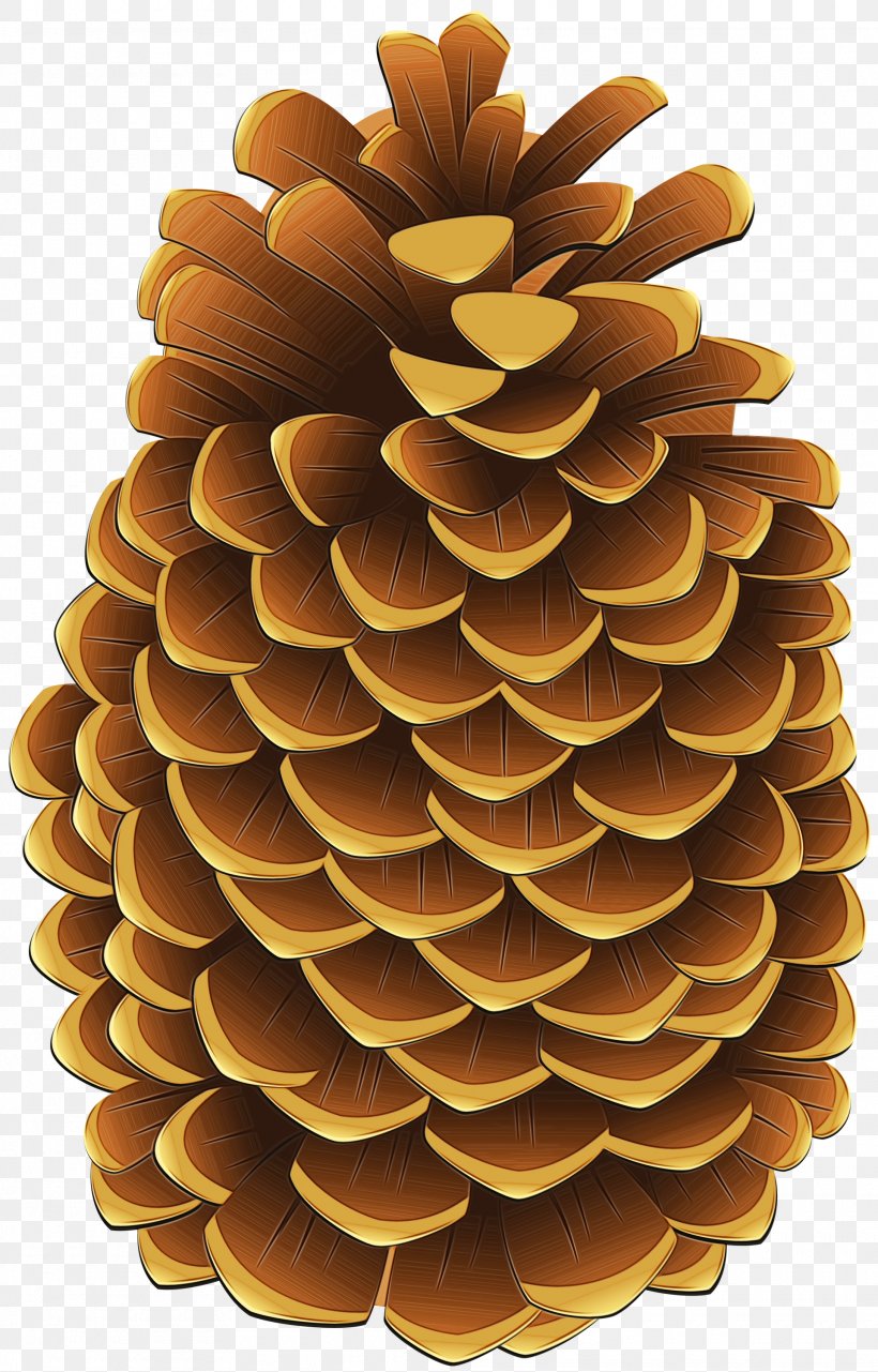 Family Tree Background, PNG, 1920x3000px, Watercolor, Colorado Spruce, Conifer, Conifer Cone, Material Download Free
