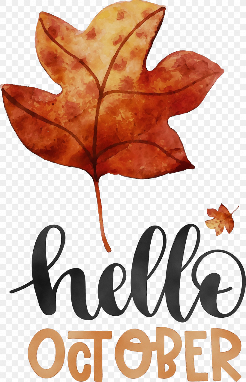 Leaf Font Tree Meter Plant Structure, PNG, 1194x1853px, Hello October, Autumn, Biology, Leaf, Meter Download Free