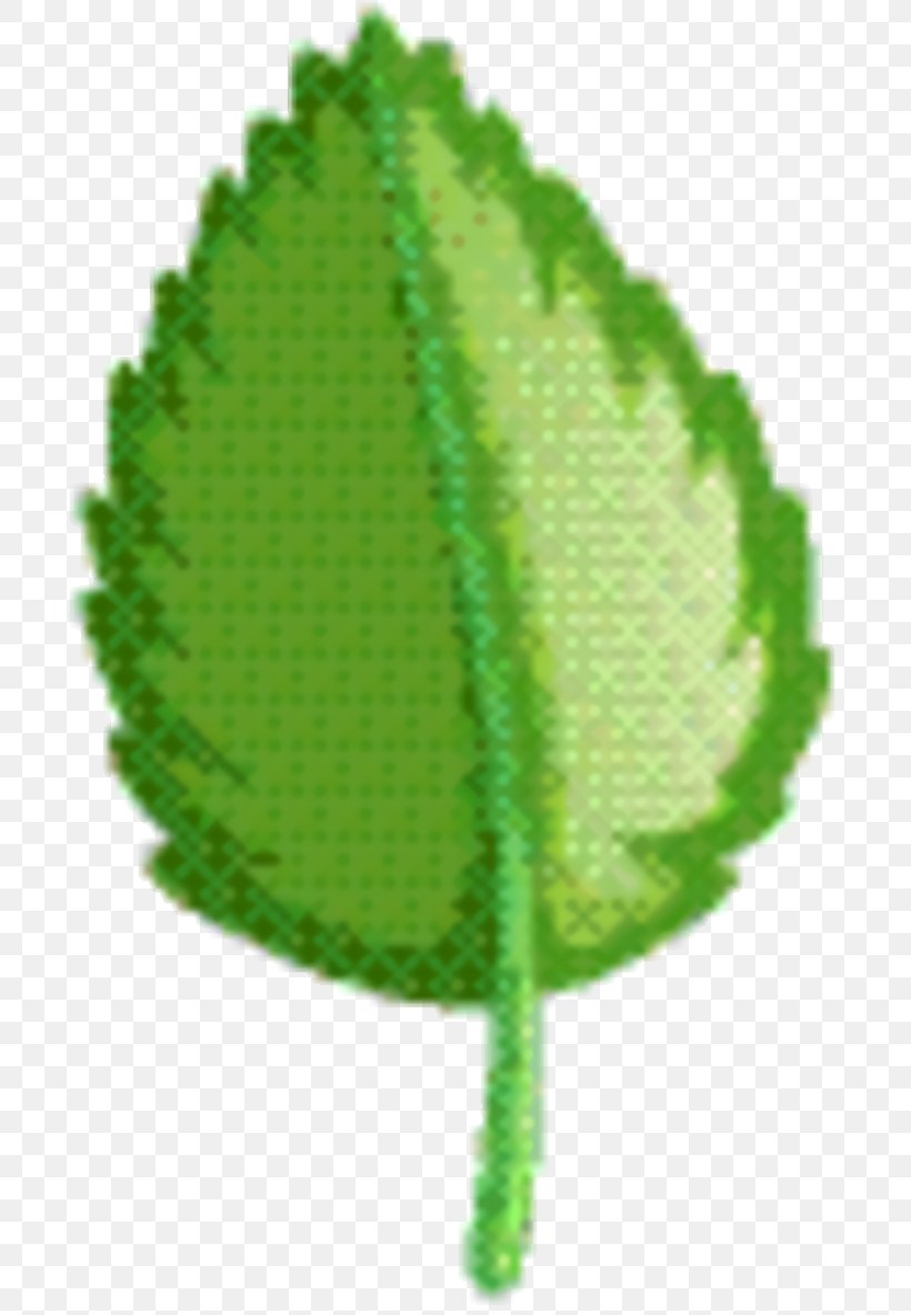 Green Leaf Background, PNG, 720x1184px, Green, Leaf, Plant Download Free
