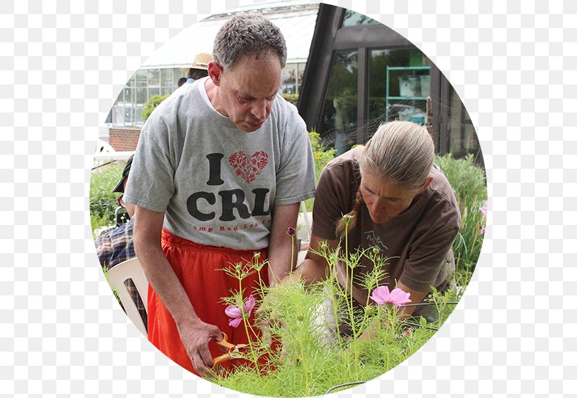 Little City Developmental Disability Horticulture Garden Intellectual Disability, PNG, 566x566px, Little City, Advocacy, Autism, Chicago, City Download Free
