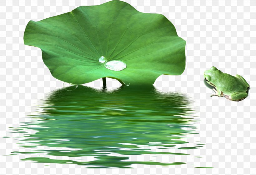 Painting Lotus Seed Acrylic Paint, PNG, 3373x2318px, Paint, Acrylic Paint, Art, Grass, Green Download Free