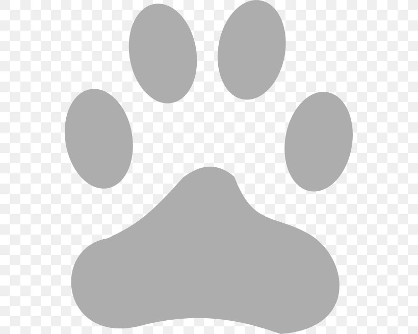 White Line Paw Angle, PNG, 565x655px, White, Black, Black And White, Monochrome, Monochrome Photography Download Free