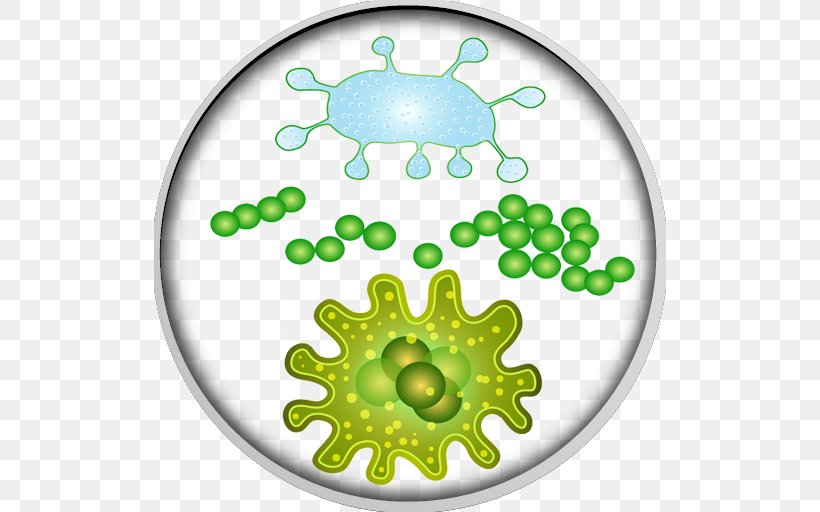 Bacteria Microorganism Microbiota Virus, PNG, 512x512px, Bacteria, Bacterial Disease, Green, Human Microbiota, Infection Download Free
