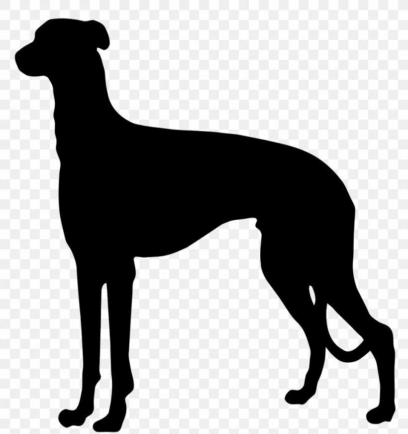 German Shorthaired Pointer German Wirehaired Pointer German Longhaired Pointer Spinone Italiano, PNG, 962x1023px, German Shorthaired Pointer, Animal Sports, Azawakh, Black And White, Breed Download Free