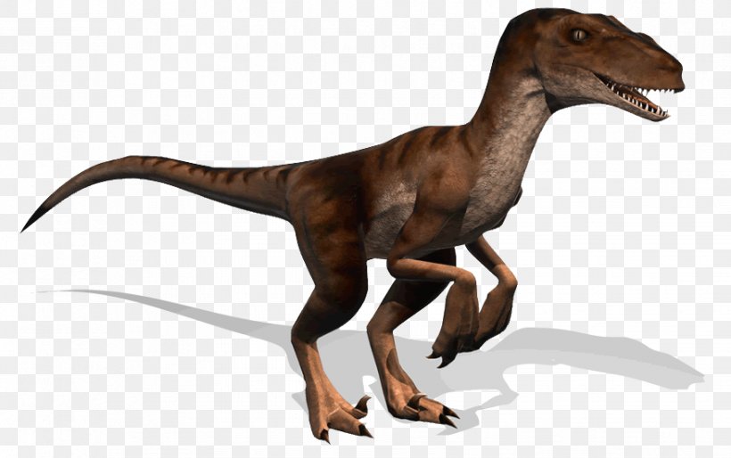 Albertosaurus Tyrannosaurus Allosaurus Pachyrhinosaurus Dinosaur, PNG, 878x551px, Albertosaurus, Allosaurus, Animal Figure, Ceratosaurus, Dinosaur Download Free