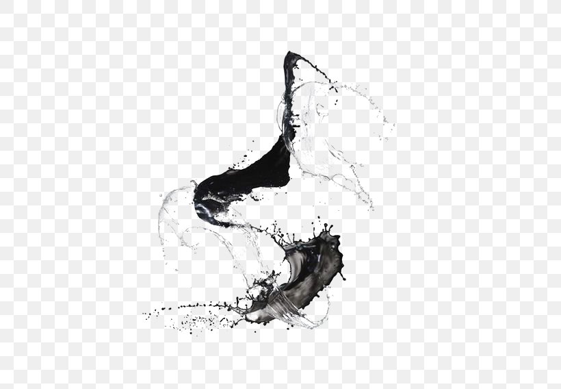 Bruce Silverstein Gallery Japanese Calligraphy Photography Art, PNG, 564x568px, Bruce Silverstein Gallery, Art, Artwork, Black And White, Brush Download Free