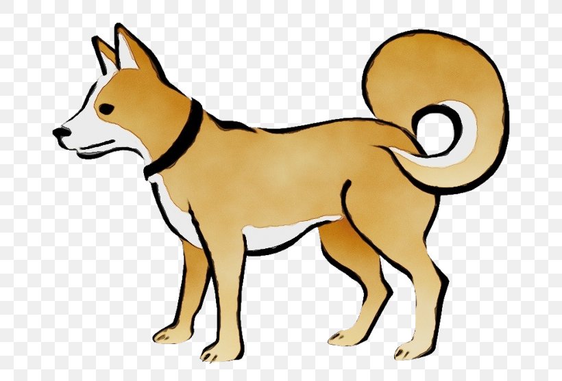 Dog Dog Breed Clip Art Cartoon Canaan Dog, PNG, 700x557px, Watercolor, Canaan Dog, Cartoon, Dog, Dog Breed Download Free