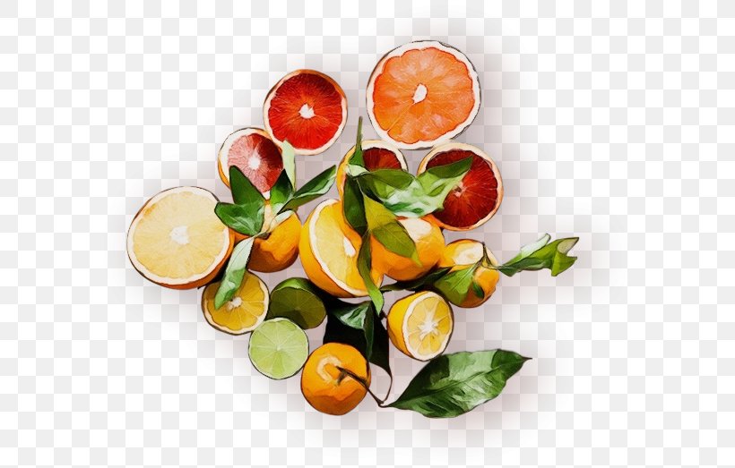 Orange, PNG, 599x523px, Watercolor, Citrus, Food, Fruit, Garnish Download Free