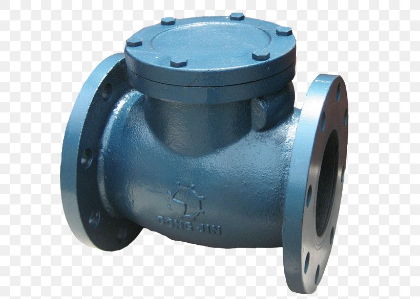 Stainless Steel Check Valve Nominal Pipe Size, PNG, 750x585px, Steel, Cast Iron, Check Valve, Flange, Gas Download Free