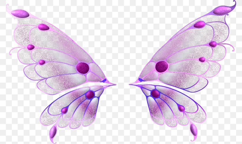 JPEG PhotoScape Image Raster Graphics Editor, PNG, 782x488px, Photoscape, Butterflies And Moths, Butterfly, Fairy, Image Editing Download Free