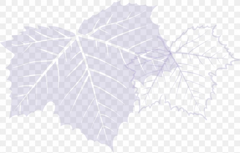 Twig Leaf, PNG, 2212x1412px, Twig, Branch, Leaf, Plant, Tree Download Free