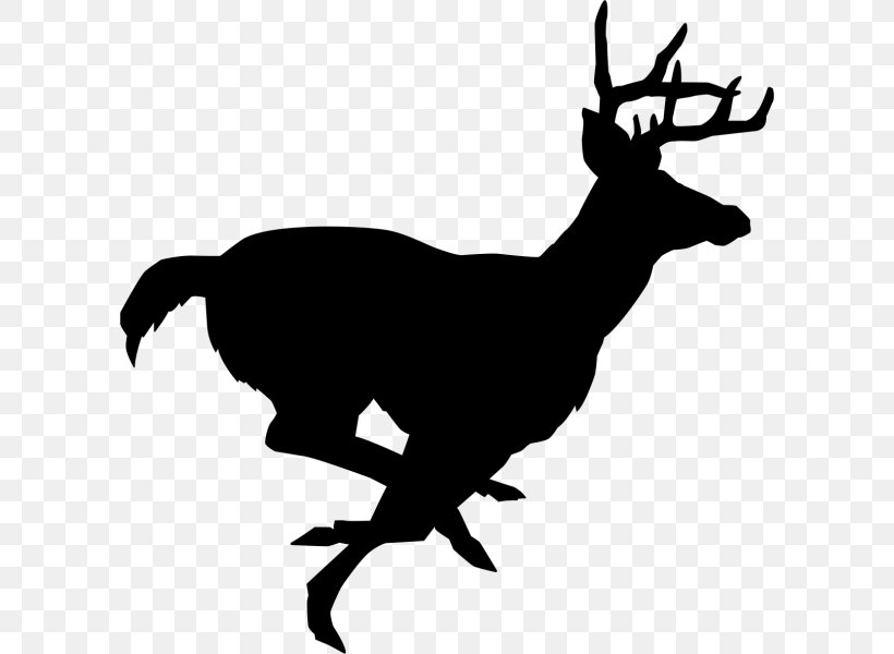 White-tailed Deer Stencil Reindeer Clip Art, PNG, 600x600px, Deer, Antelope, Antler, Beak, Black And White Download Free