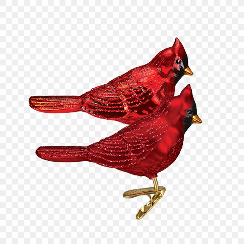 Bird Northern Cardinal Christmas Ornament Arizona Cardinals Glass, PNG, 1000x1000px, Bird, Arizona Cardinals, Beak, Cardinal, Cardinal Number Download Free