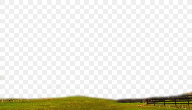 Lawn Steppe Grassland Energy Desktop Wallpaper, PNG, 1590x910px, Lawn, Cloud, Computer, Daytime, Ecoregion Download Free