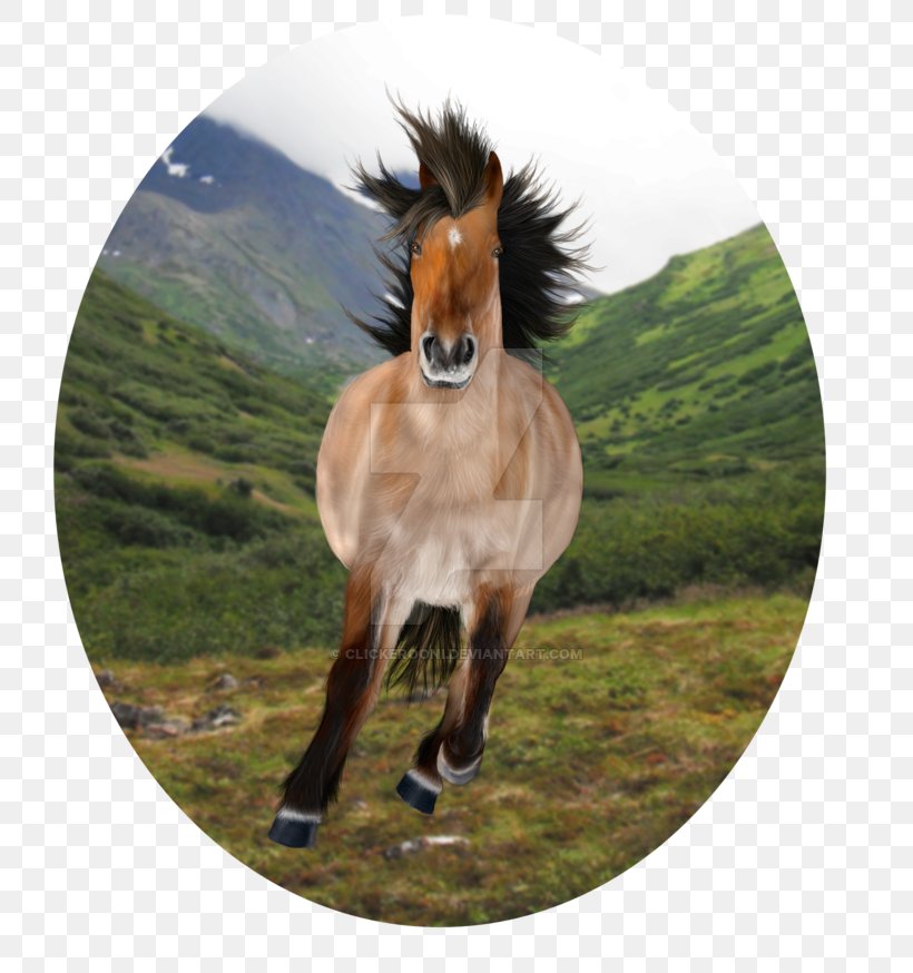 Mane Mustang Mare Stallion Foal, PNG, 800x874px, Mane, Florida Kraze Krush Soccer Club, Foal, Grass, Horse Download Free