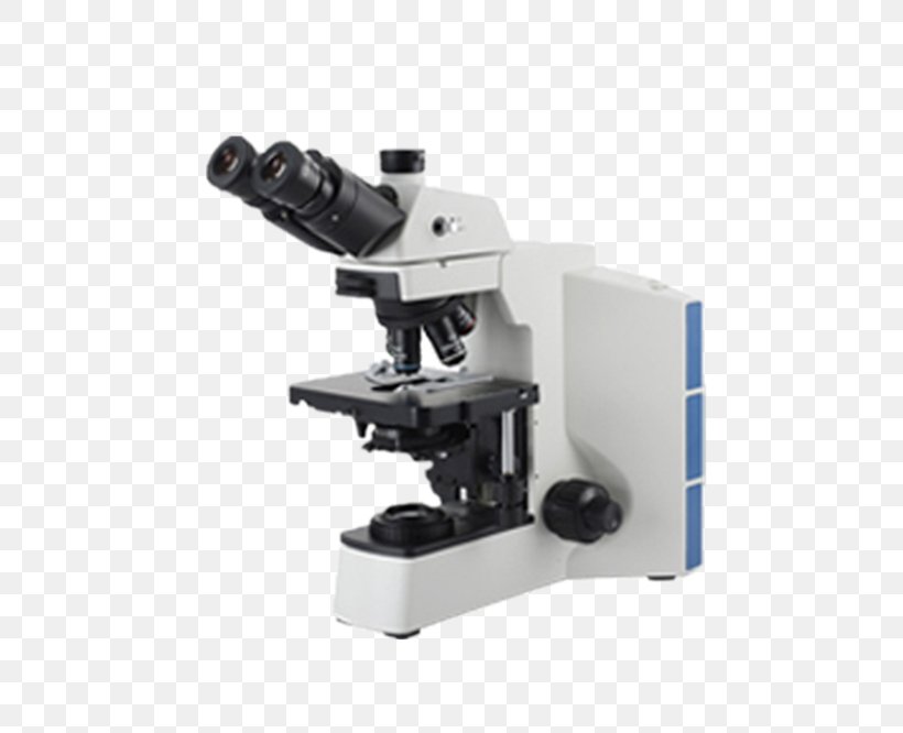 Optical Microscope Light Optics Phase Contrast Microscopy, PNG, 500x666px, Microscope, Biology, Brightfield Microscopy, Darkfield Microscopy, Digital Microscope Download Free