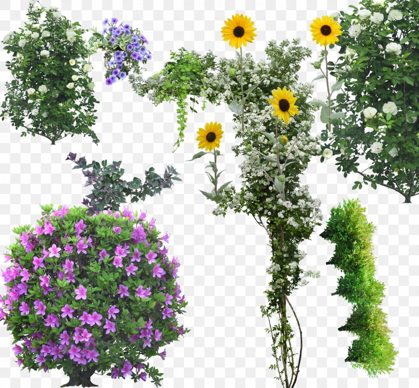 Tree Flower Shrub Arbor Day, PNG, 1600x1483px, Tree, Annual Plant, Arbor Day, Chrysanths, Document Download Free