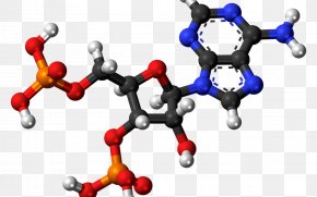 Adenosine Triphosphate Adenosine Diphosphate Adenosine Monophosphate Pyrophosphate PNG