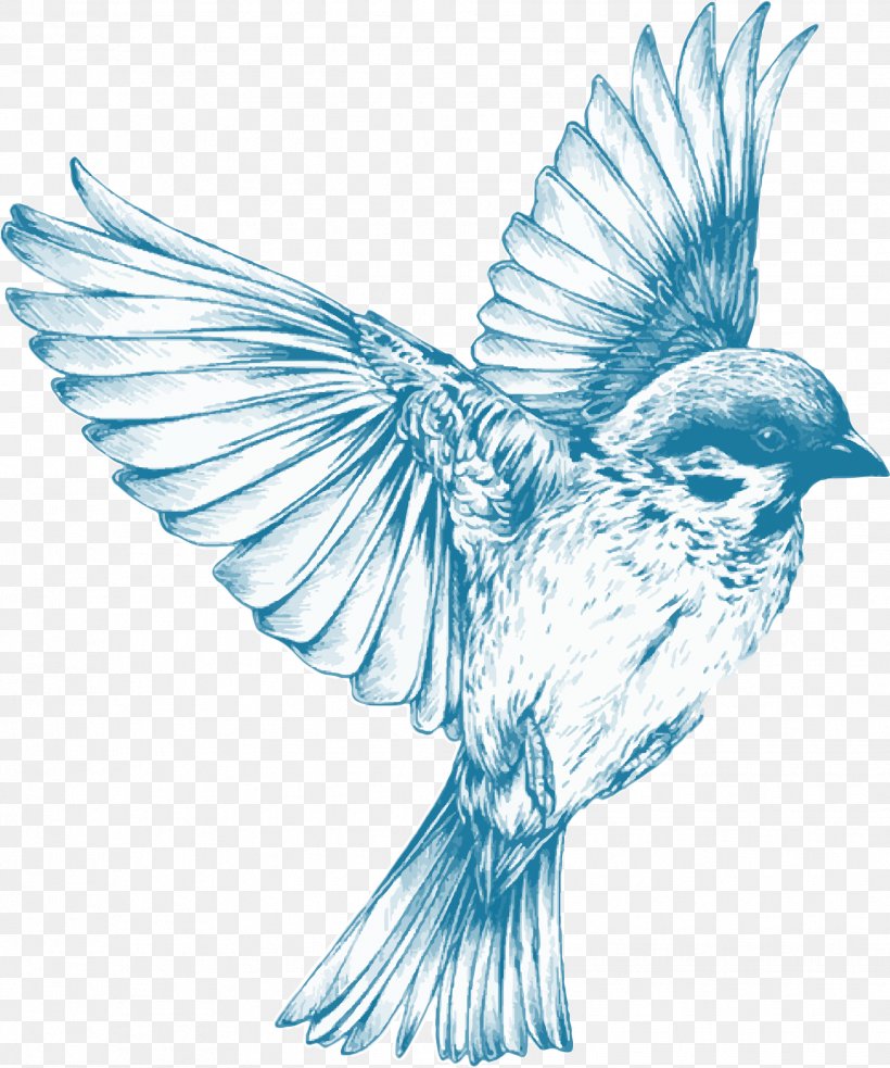 Drawing Birds Drawing Birds Sketch, PNG, 1932x2318px, Bird, Art, Ballpoint Pen Artwork, Beak, Bluebird Download Free