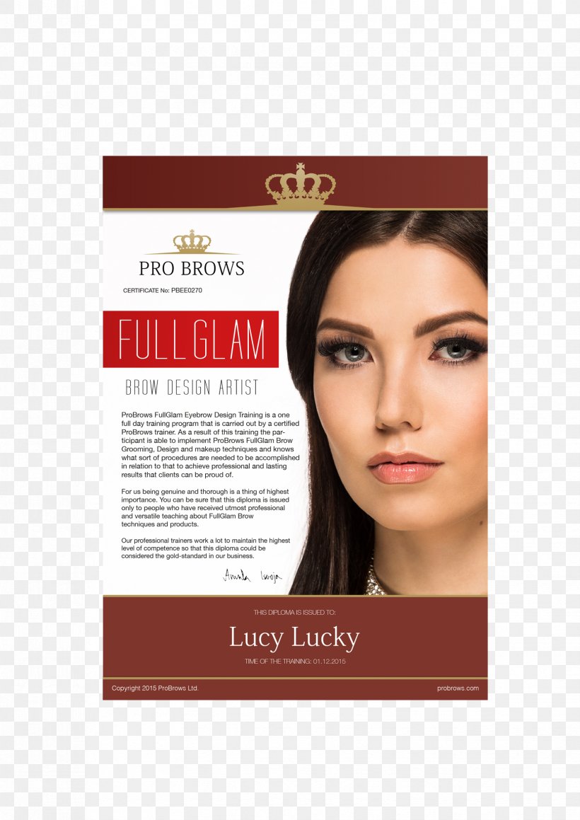 Microblading Eyebrow - Eyebrow Diploma Eyelash Microblading Academic Certificate PNG