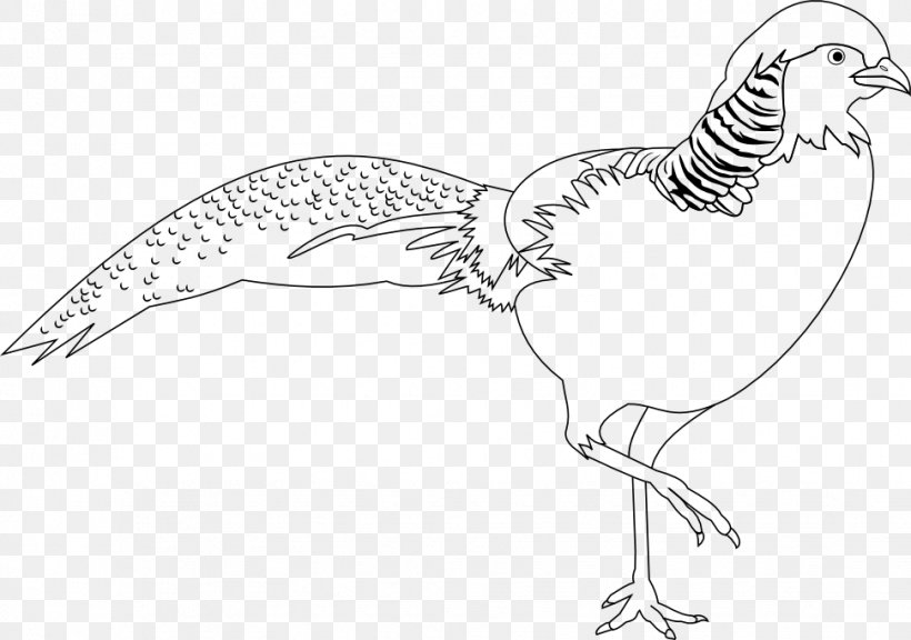 Rooster Golden Pheasant Bird Clip Art, PNG, 971x683px, Rooster, Animal Figure, Artwork, Beak, Bird Download Free