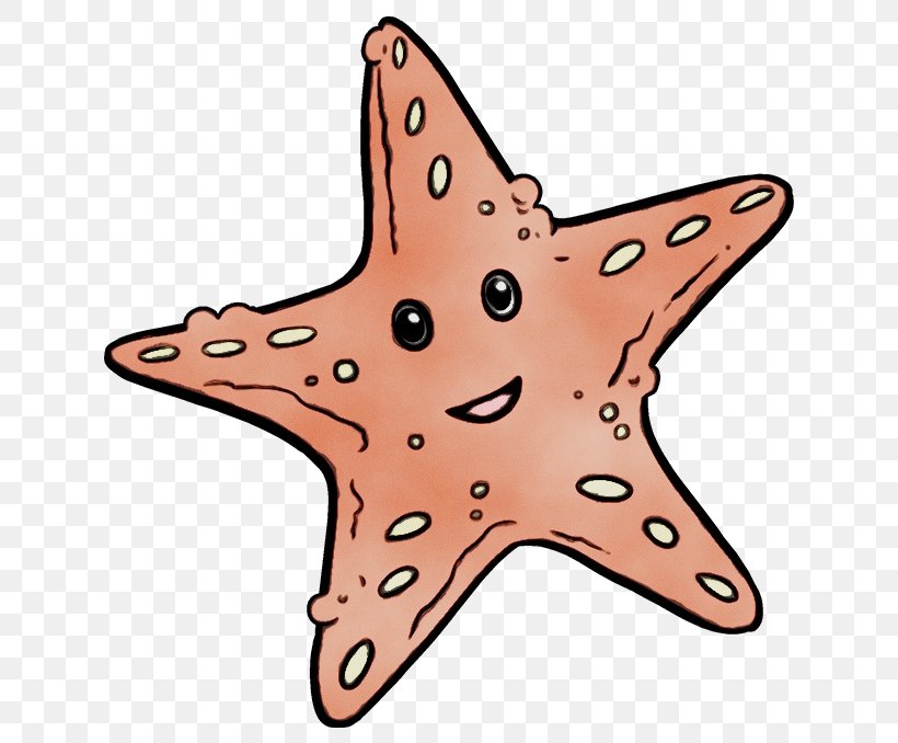 Starfish Star Marine Invertebrates Clip Art, PNG, 680x678px, Watercolor, Marine Invertebrates, Paint, Star, Starfish Download Free