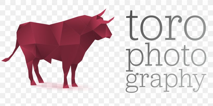 Cattle Ox, PNG, 2000x1000px, Cattle, Brand, Bull, Cartoon, Cattle Like Mammal Download Free