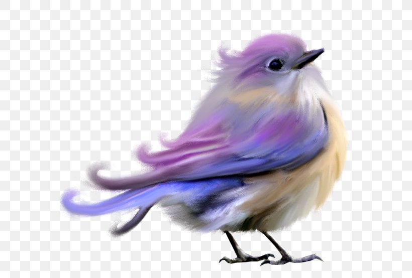 Lovebird Clip Art Psd, PNG, 600x554px, Bird, Beak, Fauna, Feather, Lovebird Download Free