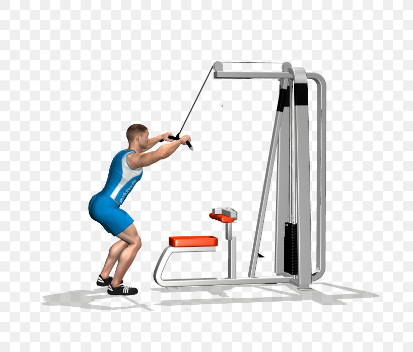 Shoulder Physical Fitness Pulldown Exercise Overhead Press, PNG, 700x700px, Shoulder, Arm, Balance, Deltoid Muscle, Dip Download Free