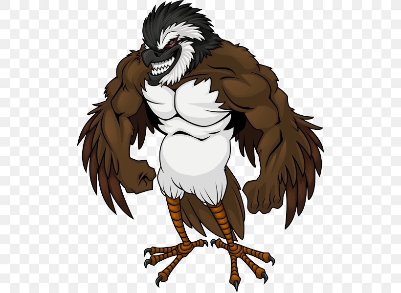 Bald Eagle Beak Cartoon, PNG, 504x600px, Bald Eagle, Accipitriformes, Beak, Bird, Bird Of Prey Download Free