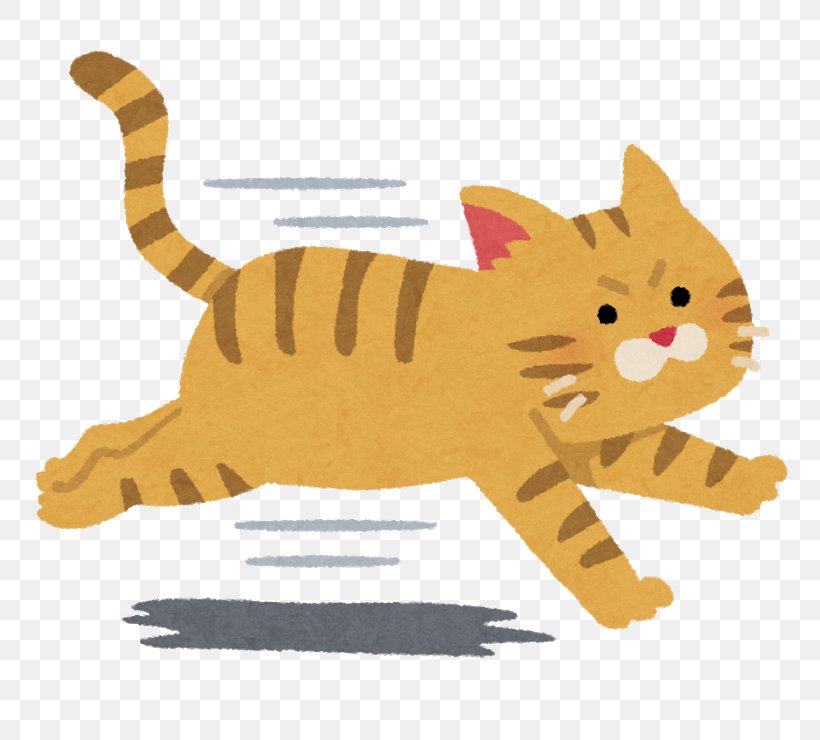 Cat Food Tiger 野良猫 Tabby Cat, PNG, 800x740px, Cat, Animal, Art, Carnivoran, Cat Food Download Free