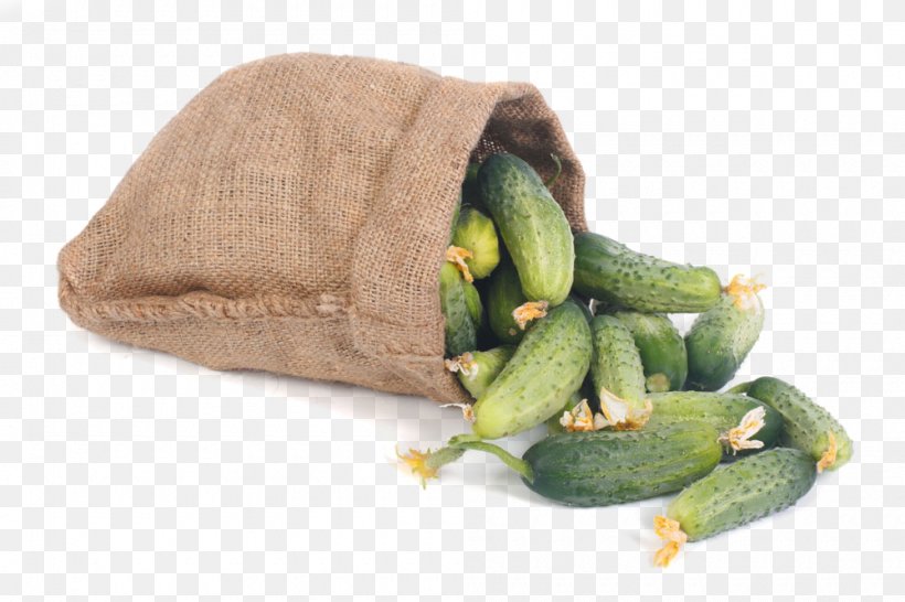 Cucumber Vegetable Gunny Sack Bag Auglis, PNG, 1000x666px, Cucumber, Auglis, Bag, Berry, Cucumber Gourd And Melon Family Download Free