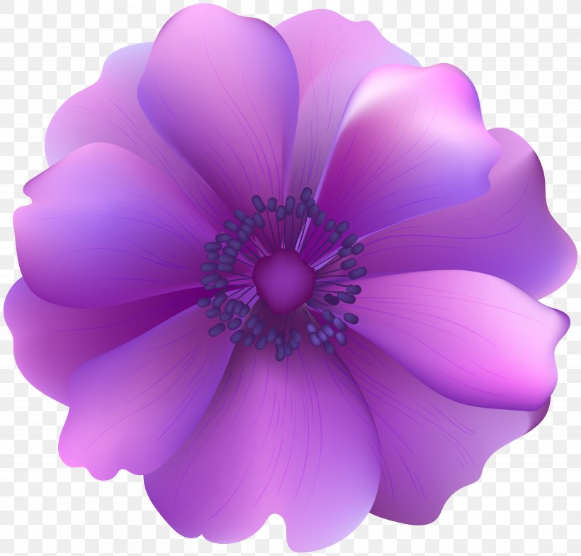 Flower Purple Clip Art, PNG, 5000x4786px, Flower, Blue, Flowering Plant, Herbaceous Plant, Lavender Download Free